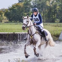 Кросс :: SanSan 