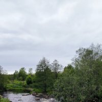 Река Гороховка. :: Ольга 