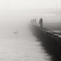 Зарисовки туманной зимы. :: Анатолий Щербак Зарисовки туманной зимы. :: Анатолий Щербак
