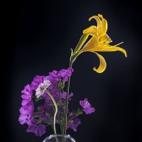 Цветы :: Николай Галкин 