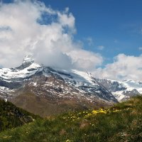 das Matterhorn :: Elena Wymann