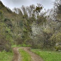 На горных дорогах Крыма :: Денис Масленников