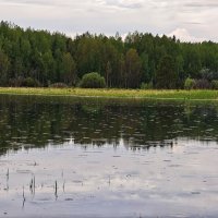 Дождик :: Александр 