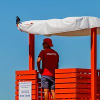 Просто мы работаем спасателями :: Владимир Савельев