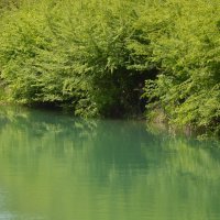 Водные просторы...весенняя акварель... :: Надежда Куркина Водные просторы...весенняя акварель... :: Надежда Куркина