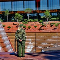 Всё под контролем... :: Николай Саржанов Всё под контролем... :: Николай Саржанов