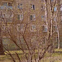 Апрель. :: Владимир Драгунский