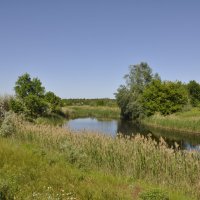 У реки. :: Виктор 