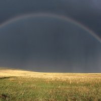 Радуга в степи :: Марина Фомина. Радуга в степи :: Марина Фомина.