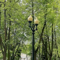 В московском парке :: Алевтина 