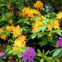 Яркие краски природы. :: Татьяна Помогалова Яркие краски природы. :: Татьяна Помогалова