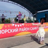 Праздник лета в Приморском районе. :: Ольга Праздник лета в Приморском районе. :: Ольга