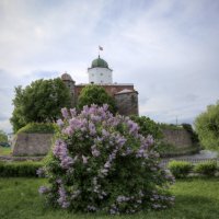 Выборгский замок :: Andrey Lomakin Выборгский замок :: Andrey Lomakin