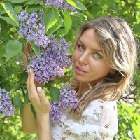 Анастасия :: Тарас Золотько