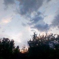 Предзакатное :: Наталья Герасимова Предзакатное :: Наталья Герасимова