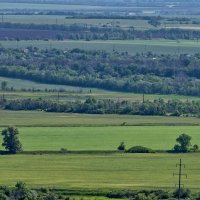 Геометрия природы :: Мариша Тим