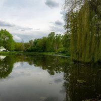 У плакучей ивы... :: Николай Гирш У плакучей ивы... :: Николай Гирш