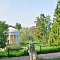 В Павловском парке :: Игорь Корф