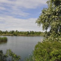 У реки. :: Виктор 