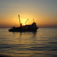 закат на море :: Елена Шаламова закат на море :: Елена Шаламова