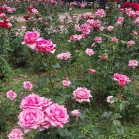 Almaty. :: Murat Bukaev 