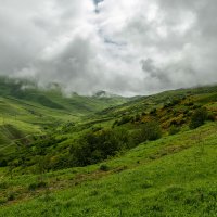 Куртатинское ущелье. Северная Осетия -Алания. :: Дина Евсеева Куртатинское ущелье. Северная Осетия -Алания. :: Дина Евсеева