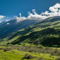 Гизельдонское ущелье. Северная Осетия - Алания. :: Дина Евсеева Гизельдонское ущелье. Северная Осетия - Алания. :: Дина Евсеева