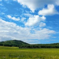 Летние просторы :: Hope 