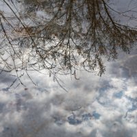 Отражение весны :: Татьяна Гузева Отражение весны :: Татьяна Гузева