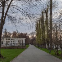"Обрубки" :: Татьяна Гузева "Обрубки" :: Татьяна Гузева