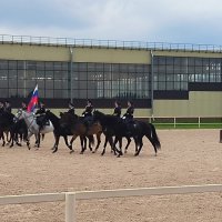 Конная полиция на Кони Фесте. :: Ольга Конная полиция на Кони Фесте. :: Ольга