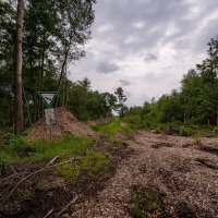 Перестройка... :: Николай Гирш Перестройка... :: Николай Гирш