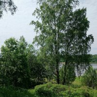 Кировск. Петровский сквер :: Наталья Герасимова