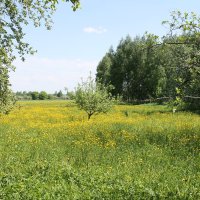 МАЙСКИЙ ПЕЙЗАЖ В ДЕРЕВНЕ :: Валентина 