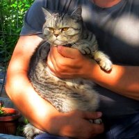 Как погреть любимицу ))) :: Natali 