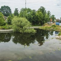 Заброшенный, наш пруд. :: Петр Беляков