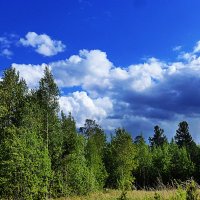 Июнь...Облака над лесной поляной! :: Владимир 