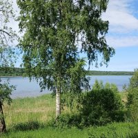 Нева :: Наталья Герасимова Нева :: Наталья Герасимова