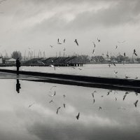 Про зимнее подношение. :: Анатолий Щербак