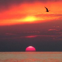 At the sunset :: Валерий 