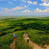 Родные просторы :: Evgeny Mameev