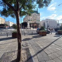 В Белграде :: Милорад В Белграде :: Милорад