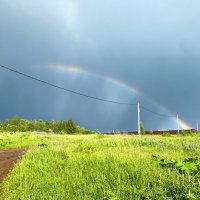 Была гроза :: Лариса С.