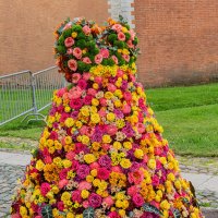 На фестивале цветов :: Ирина Соловьёва На фестивале цветов :: Ирина Соловьёва