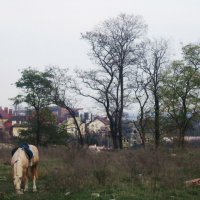 На окраине села :: Татьяна Р 
