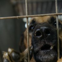 Неужели зто за мной :: Иван К Неужели зто за мной :: Иван К
