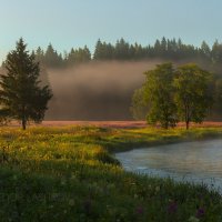 Лето :: Фёдор. Лашков