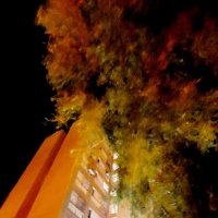 14  КЛОС (423) :: CLOSE WAYS ALL