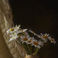 *** :: Яна Горбунова