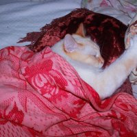 тихий час :: Сергей Кочнев